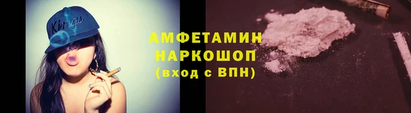 сатива Балахна