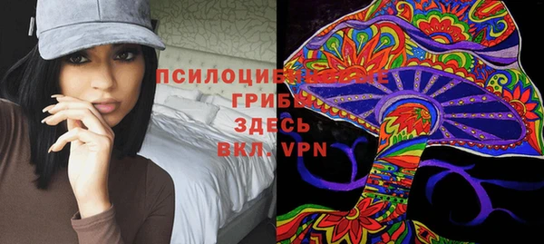 прущий лед Белокуриха