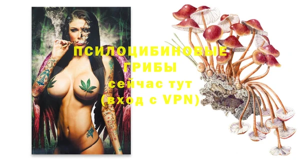 стафф Балабаново
