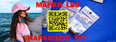 дмт Малгобек