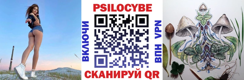 Галлюциногенные грибы Psilocybine cubensis  Калуга 