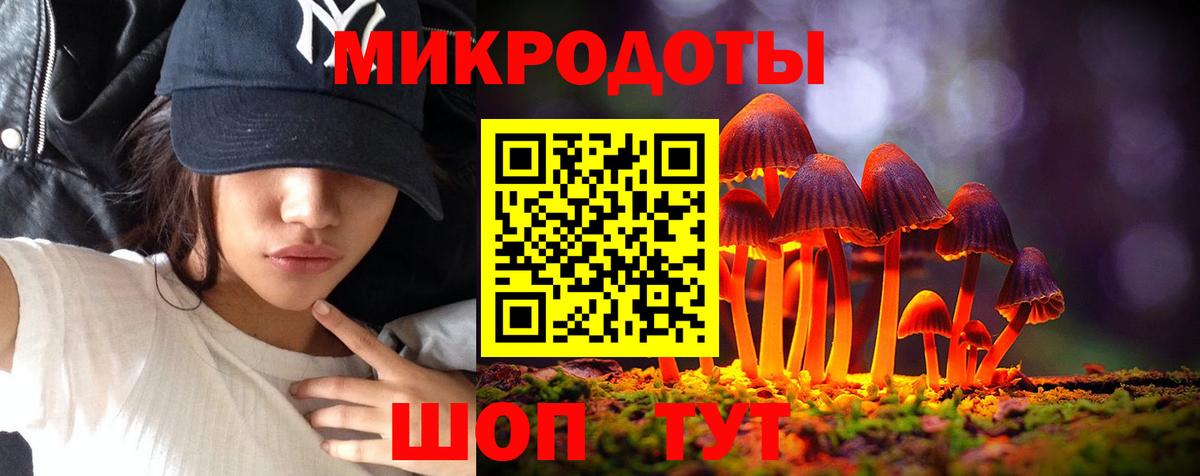 Галлюциногенные грибы Psilocybe Калуга