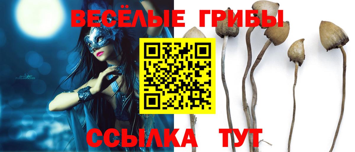 Калуга  Галлюциногенные грибы мицелий  Вход с VPN  Галлюциногенные грибы Cubensis 