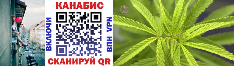 kraken онион Калуга Каннабис индика